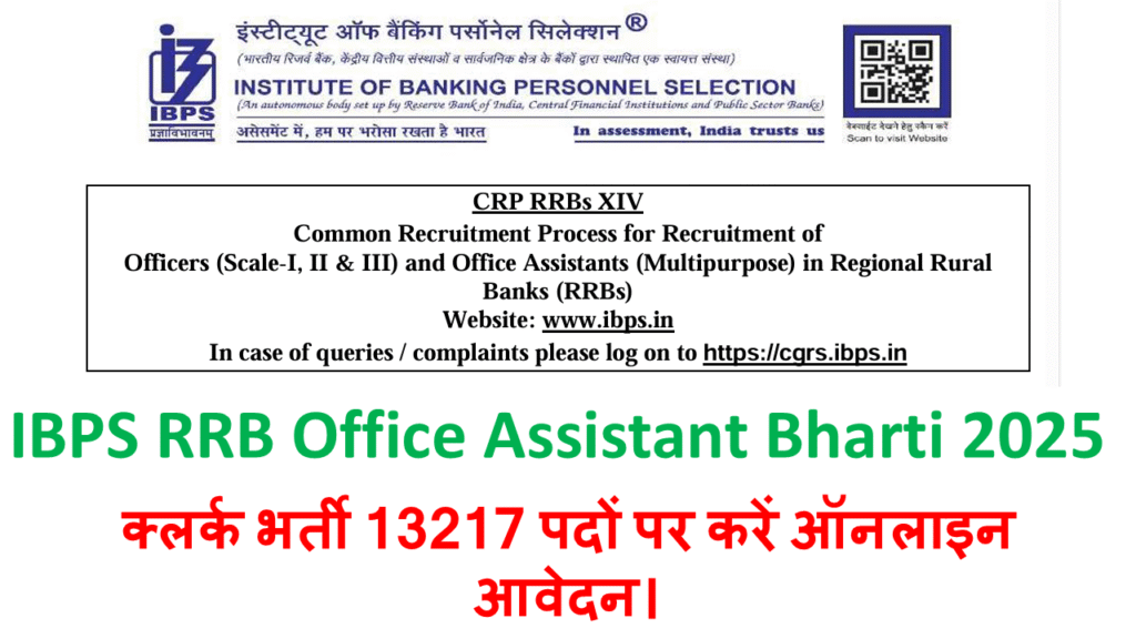 IBPS RRB Office Assistant Bharti 2025