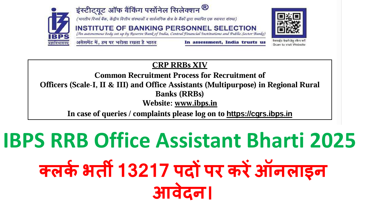IBPS RRB Office Assistant Bharti 2025